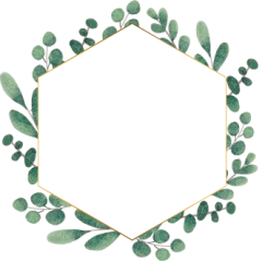 eucalyptus_wreath01.png eucalyptus_wreath01.png