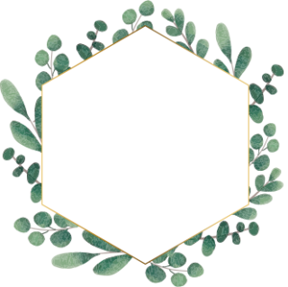 eucalyptus_wreath01.png eucalyptus_wreath01.png